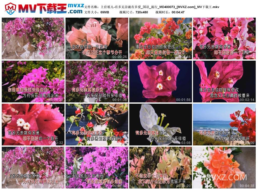 上官瑶儿-有多无奈就有多爱_国语_流行_MD400073